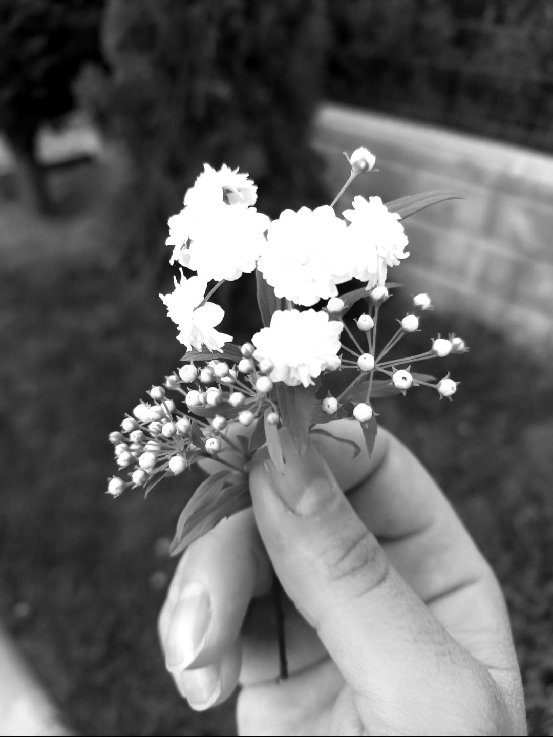 İÇİMDE DÜNYALAR VAR.