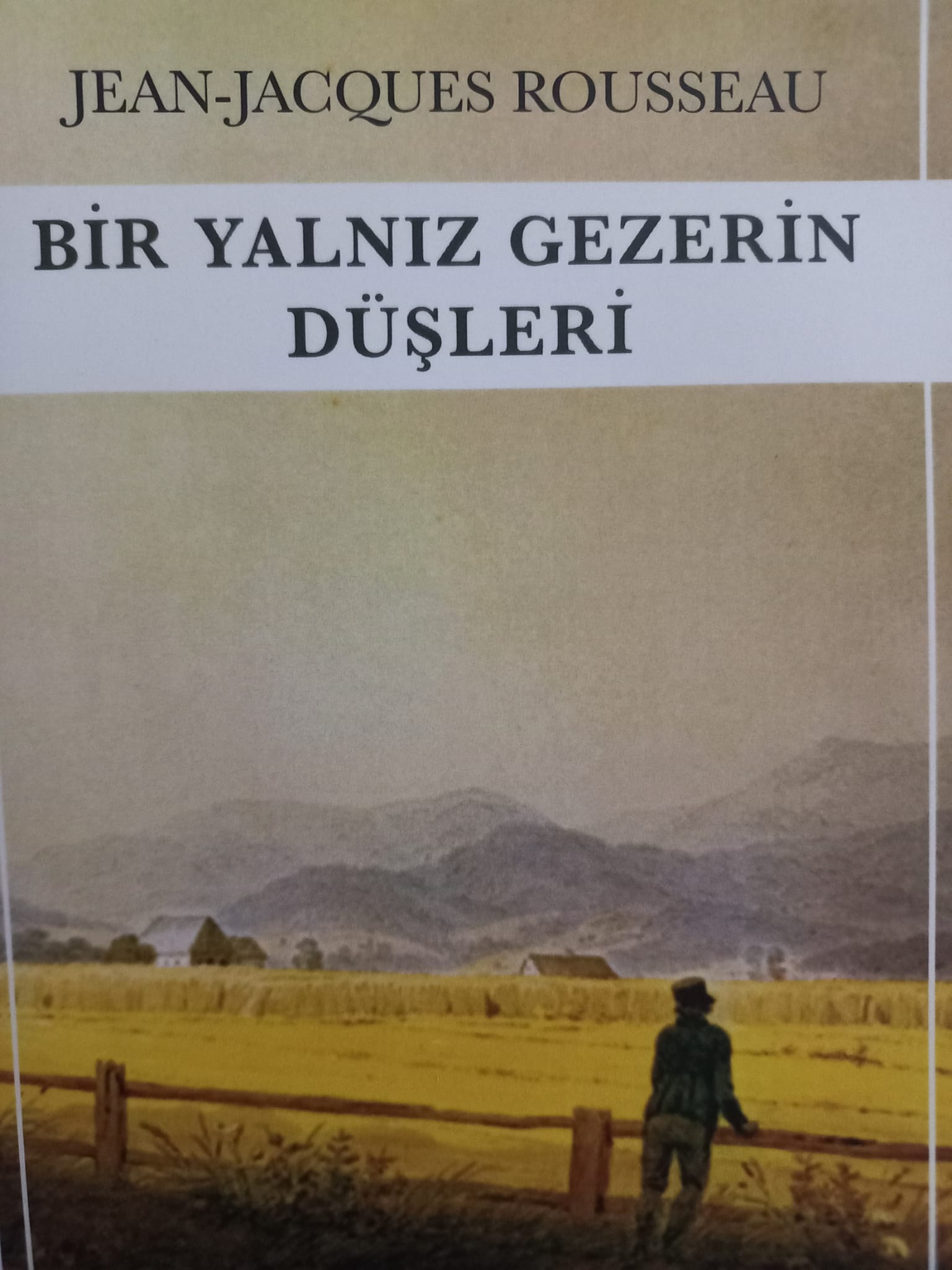 BİR YALNIZ GEZERİN DÜŞLERİ
